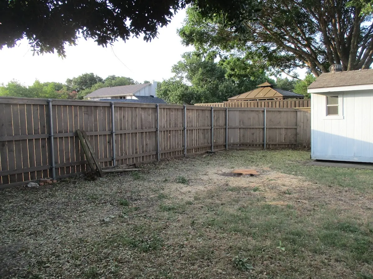 Cleared yard after professional tree removal in Kresgeville